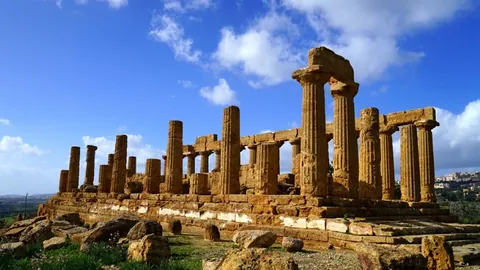 西足协主席称奥尔莫职业，CSD裁决后谈注册事宜